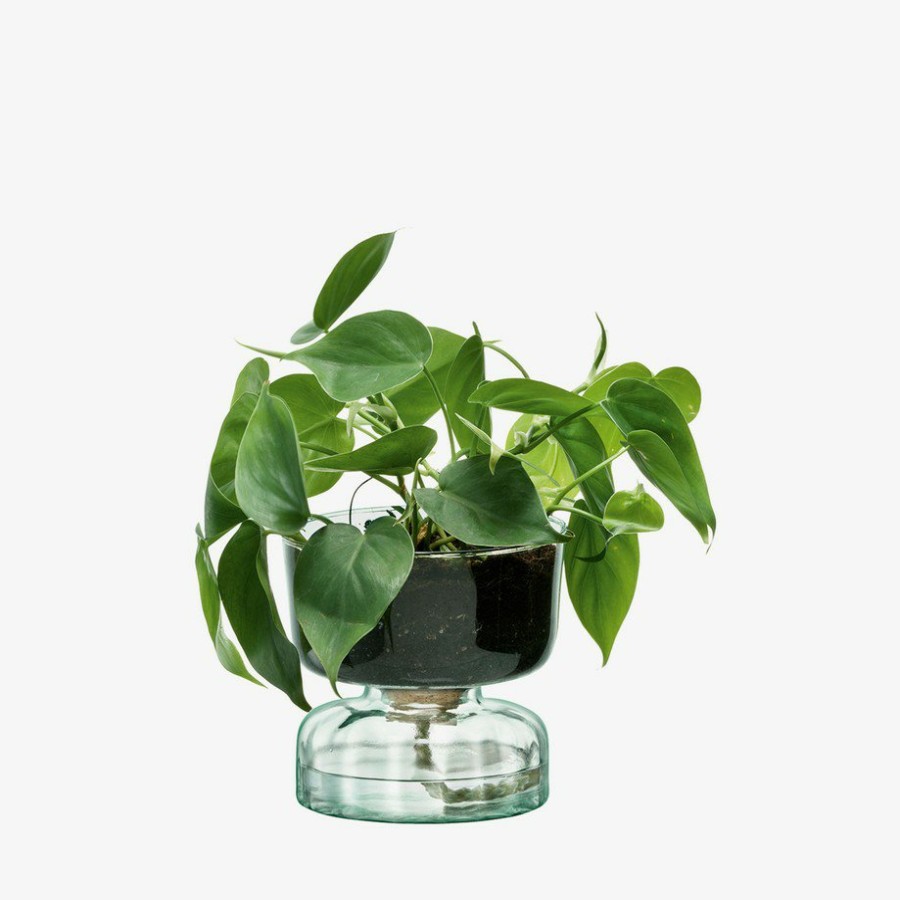 Interior LSA | Canopy Self Watering Planter Clear/Part Optic H13Cm