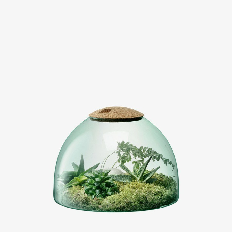 Interior LSA | Canopy Closed Garden H22Cm