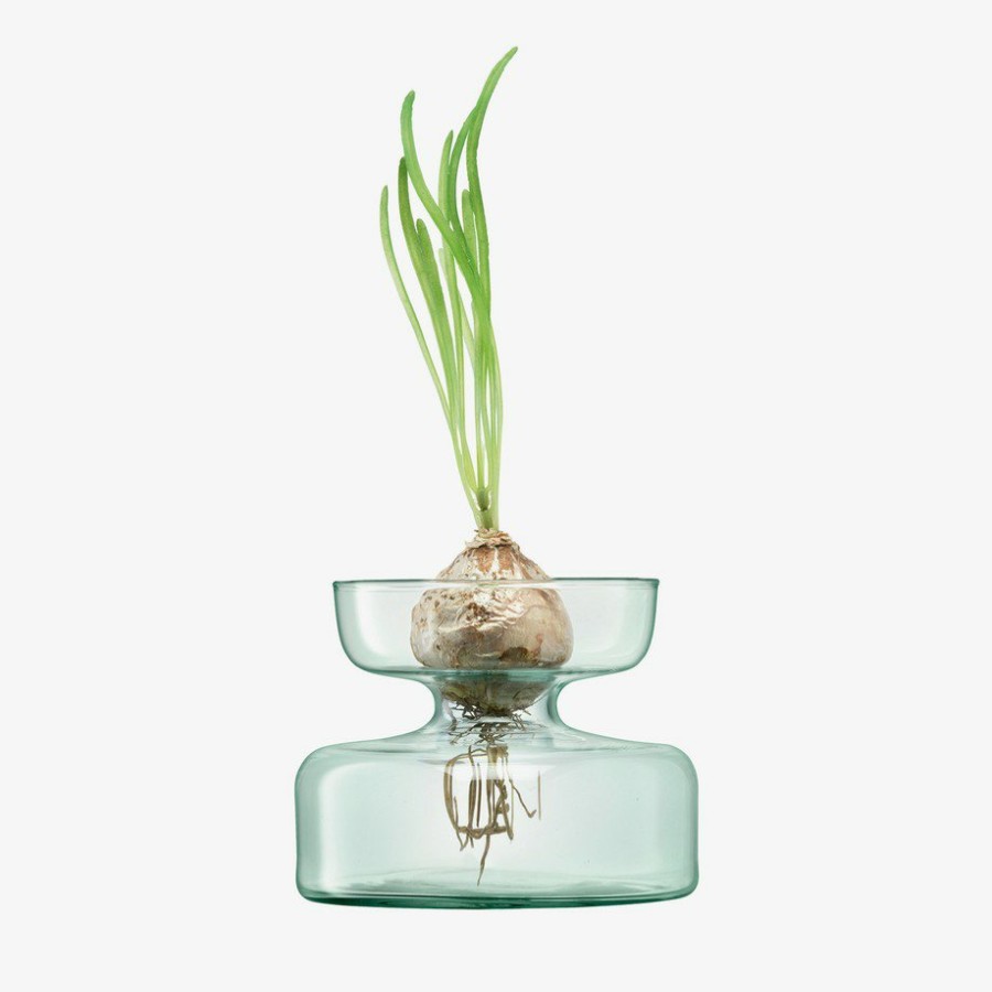 Interior LSA | Canopy Vase/Bulb Planter H10Cm